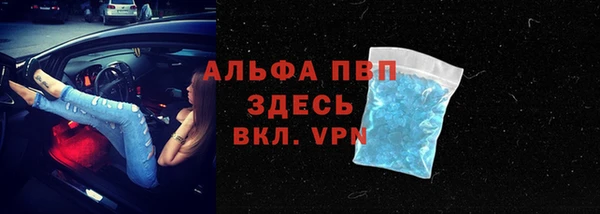бошки Дмитров