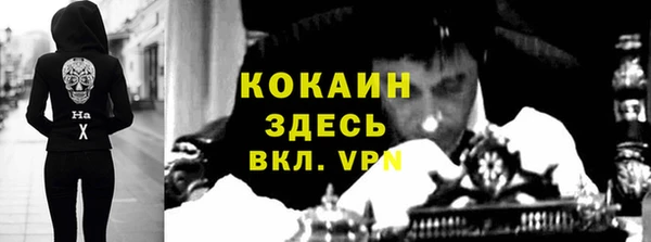 дмт Дмитриев