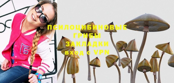 дмт Дмитриев