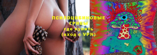 дмт Дмитриев